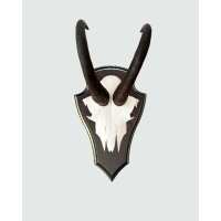 Lesen Skullstore GmbH Bewertungen